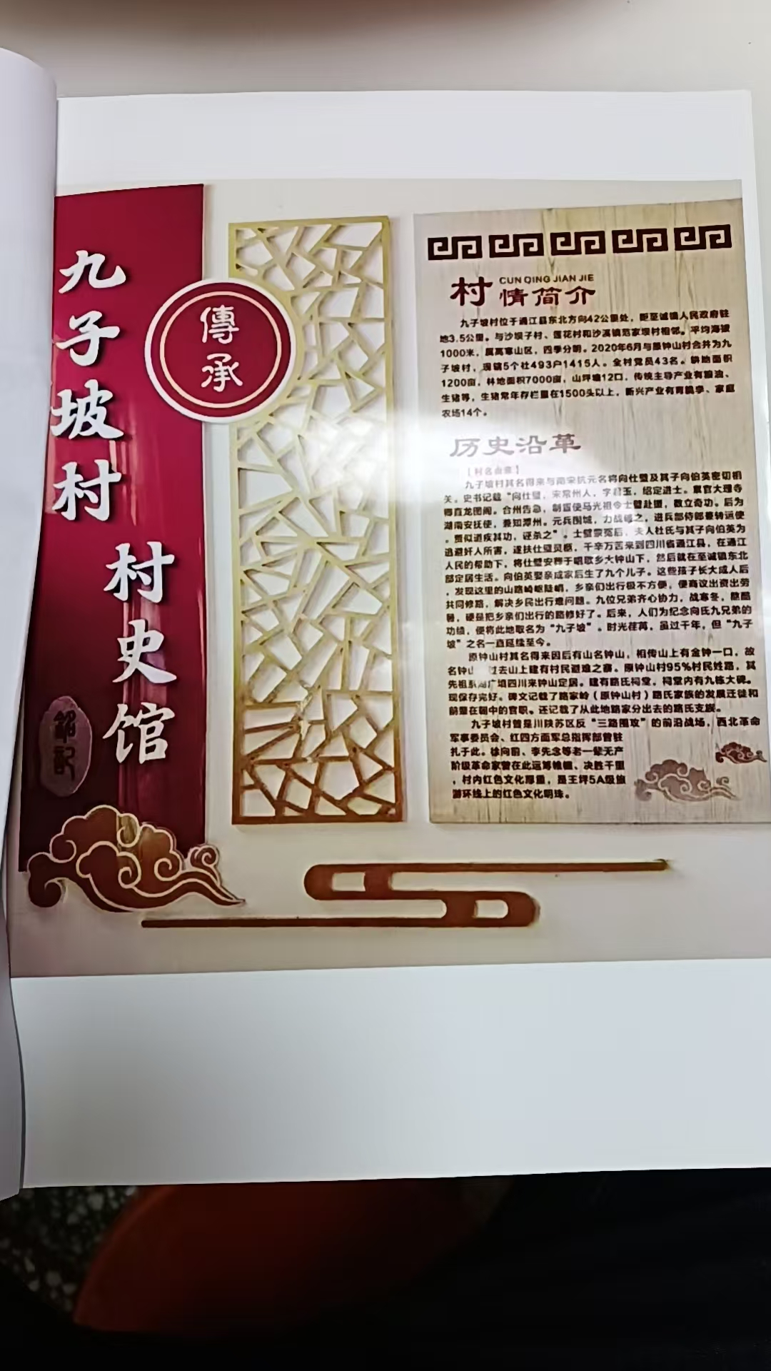 九子坡村史.jpg