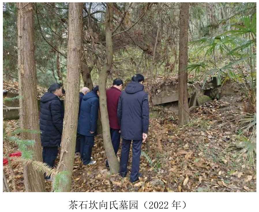 向伯英、白夫人墓简介